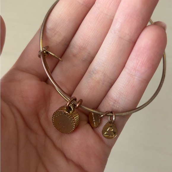 Alex and Ani October Birthstone Charm Bangle, rose - Picture 5 of 5